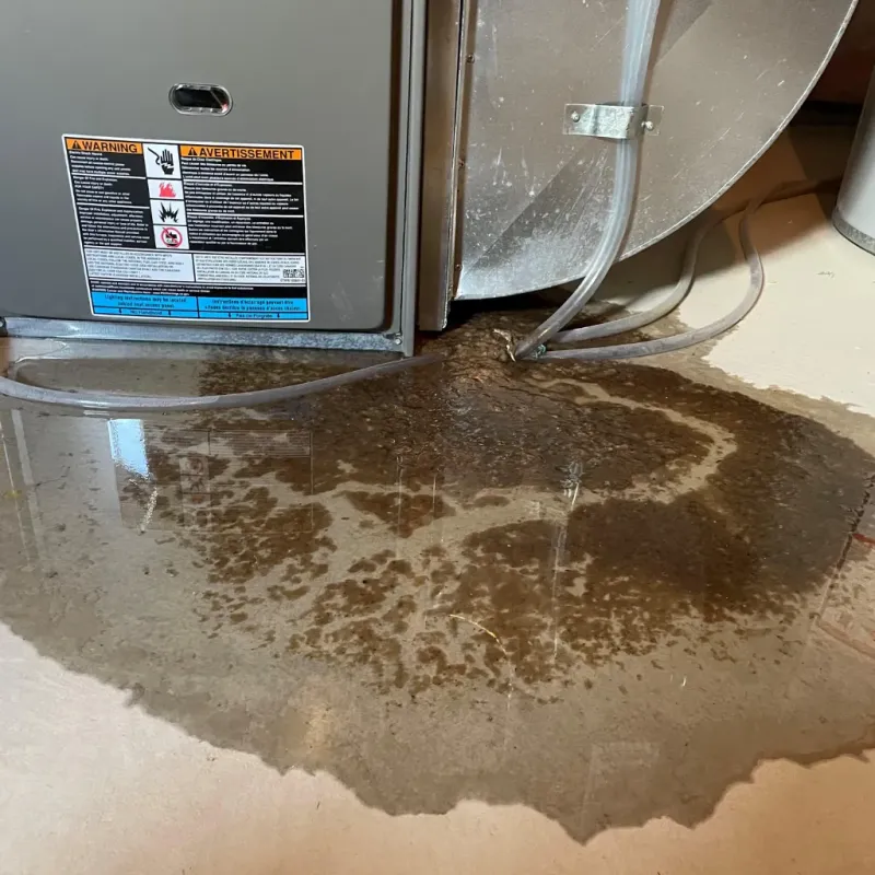 Appliance Leak Cleanup in Falcon Lake Estates, TX